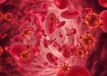 Düşük oksijen koşullarında protein etkileşimlerini değiştiren kırmızı kan hücreleri
