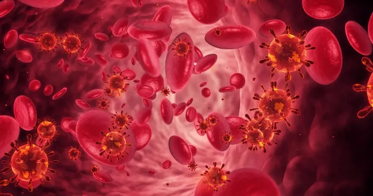 Düşük oksijen koşullarında protein etkileşimlerini değiştiren kırmızı kan hücreleri